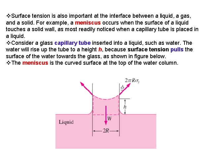 v. Surface tension is also important at the interface between a liquid, a gas,