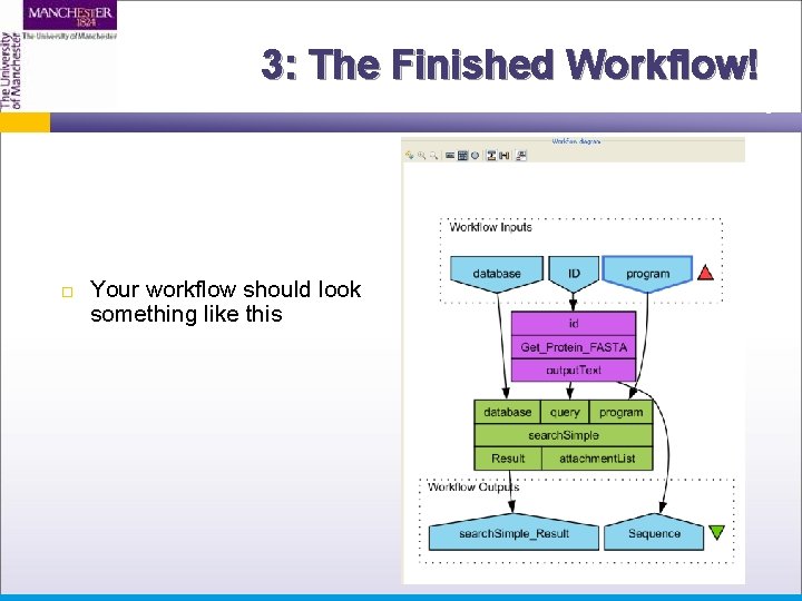 3: The Finished Workflow! Your workflow should look something like this 