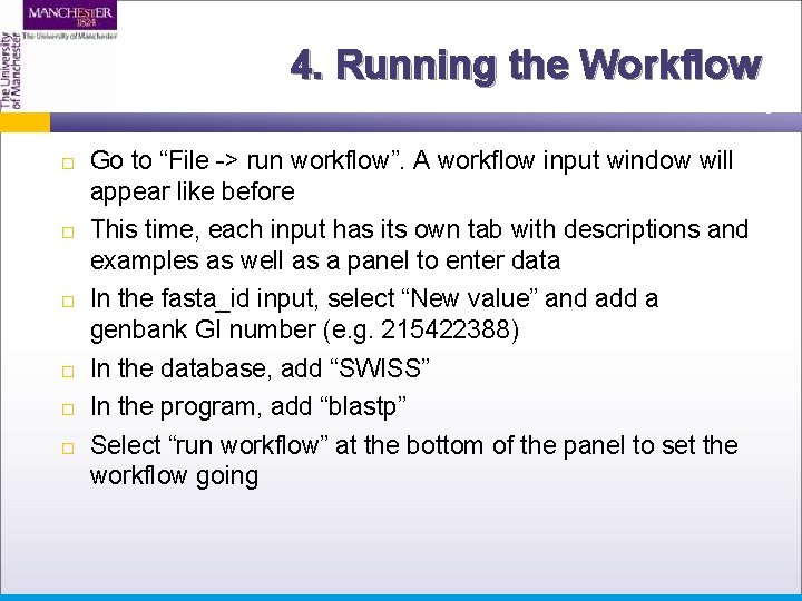 4. Running the Workflow Go to “File -> run workflow”. A workflow input window