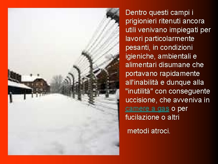 Dentro questi campi i prigionieri ritenuti ancora utili venivano impiegati per lavori particolarmente pesanti,