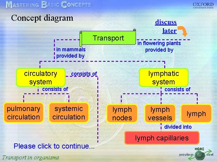 Concept diagram discuss later 按一下以編輯母片標題樣式 Transport in mammals provided by in flowering plants provided