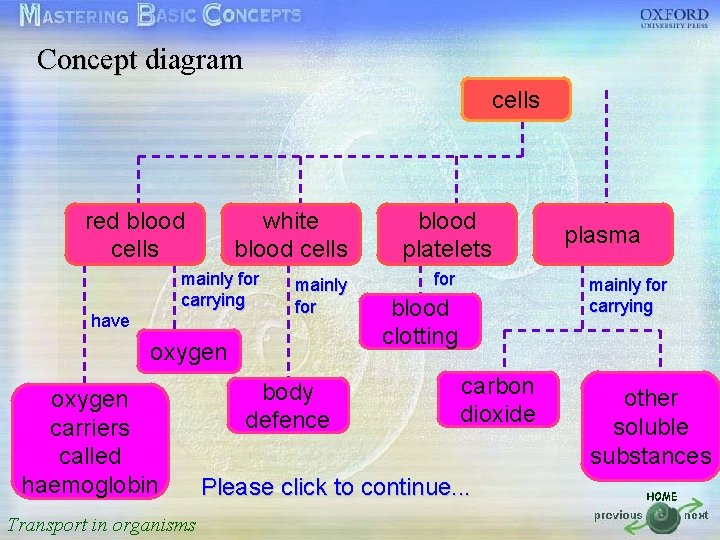 Concept diagram cells 按一下以編輯母片標題樣式 • • • 按一下以編輯母片文字樣式 red blood white blood 第二層 cells