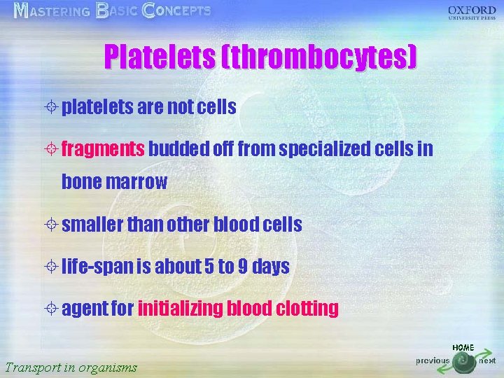 Platelets (thrombocytes) 按一下以編輯母片標題樣式 ± platelets are not cells • 按一下以編輯母片文字樣式 ± fragments budded off