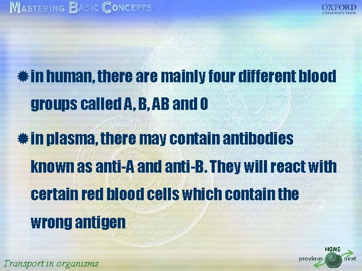 按一下以編輯母片標題樣式 ® in human, there are mainly four different blood • 按一下以編輯母片文字樣式 groups called