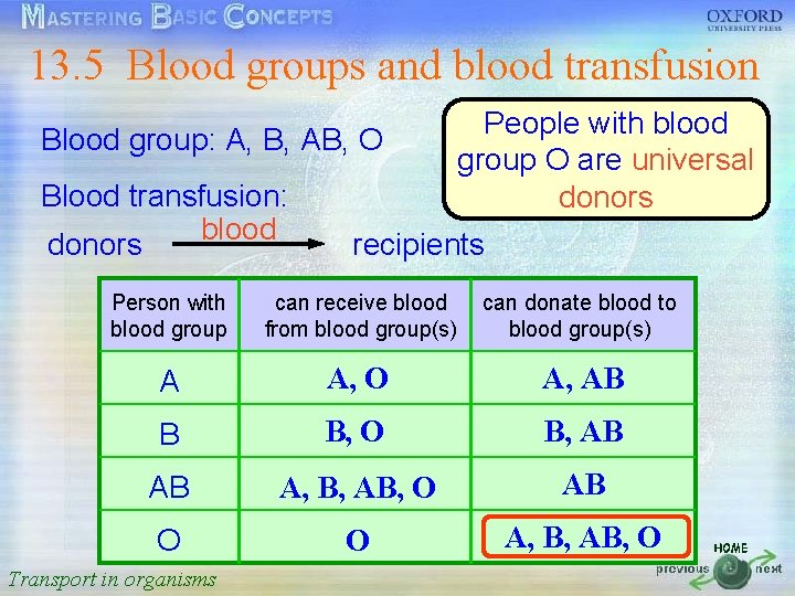 13. 5 Blood groups and blood transfusion 按一下以編輯母片標題樣式 People with blood Blood group: A,
