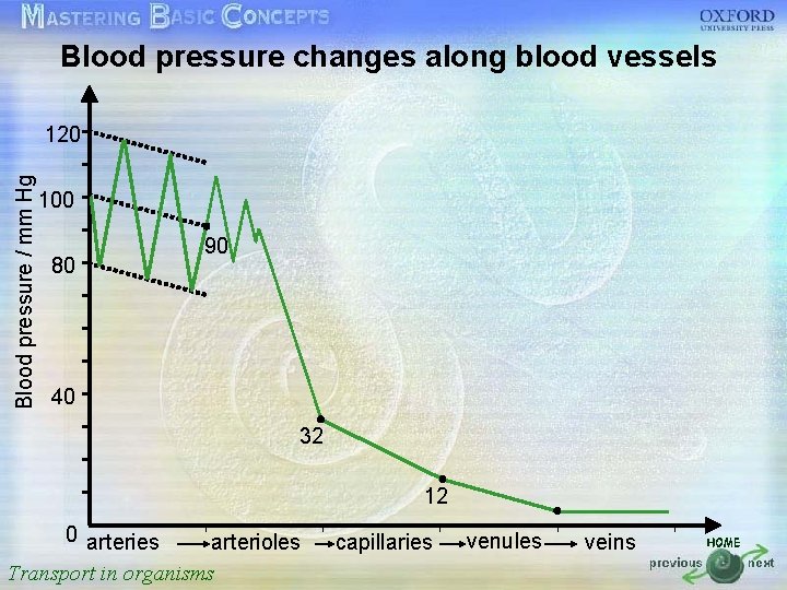 Blood pressure changes along blood vessels Blood pressure / mm Hg 120 • •