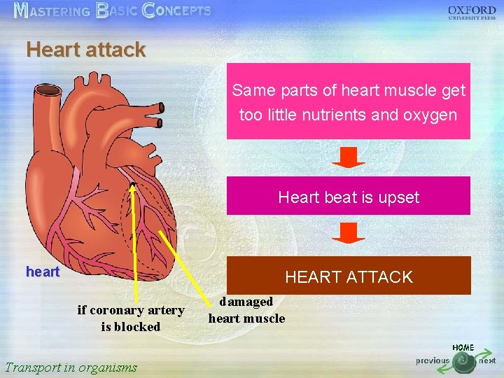 Heart attack 按一下以編輯母片標題樣式 • • • heart Same parts of heart muscle get too