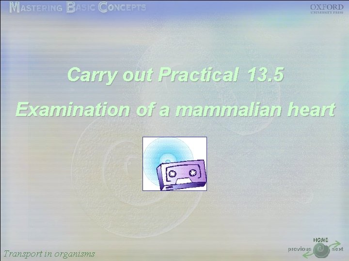 按一下以編輯母片標題樣式 Carry out Practical 13. 5 • 按一下以編輯母片文字樣式 • 第二層 Examination of a mammalian