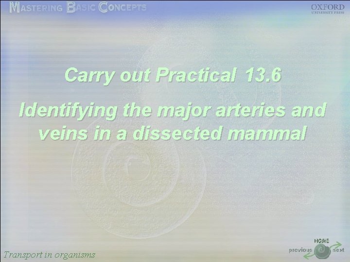 按一下以編輯母片標題樣式 Carry out Practical 13. 6 • 按一下以編輯母片文字樣式 • 第二層 Identifying the major arteries