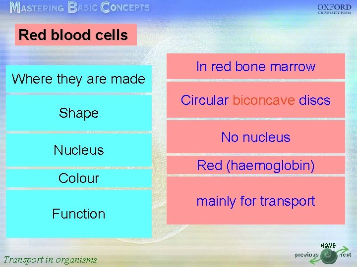 Red blood cells 按一下以編輯母片標題樣式 Where they are made • • • In red bone