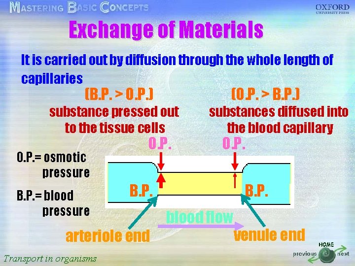 Exchange of Materials 按一下以編輯母片標題樣式 It is carried out by diffusion through the whole length