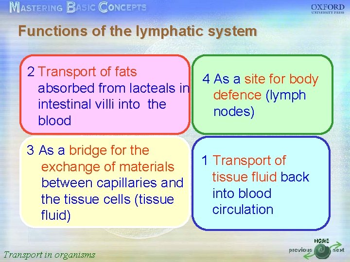 Functions of the lymphatic system 按一下以編輯母片標題樣式 2 Transport of fats 4 As a site