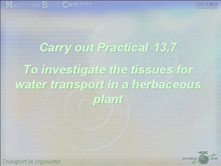 按一下以編輯母片標題樣式 Carry out Practical 13. 7 • 按一下以編輯母片文字樣式 • To 第二層 investigate the tissues