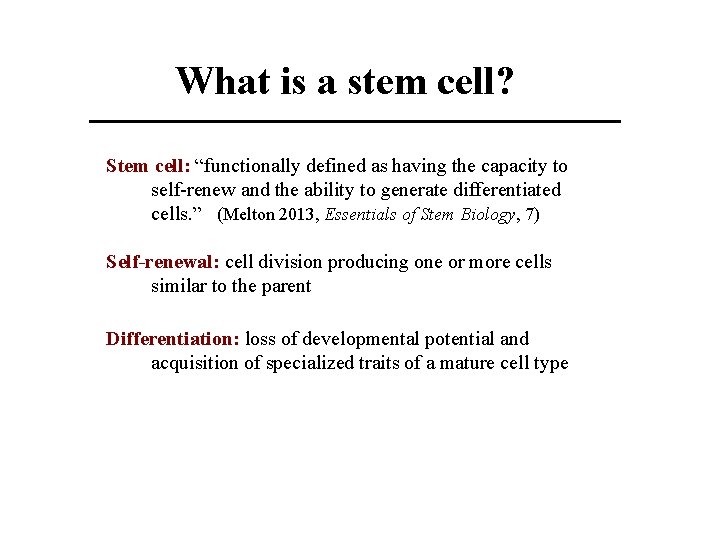 What is a stem cell? Stem cell: “functionally defined as having the capacity to