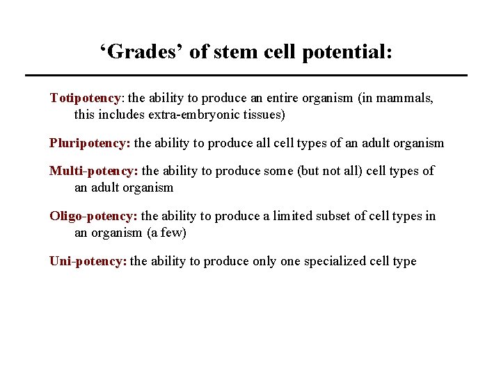 ‘Grades’ of stem cell potential: Totipotency: the ability to produce an entire organism (in