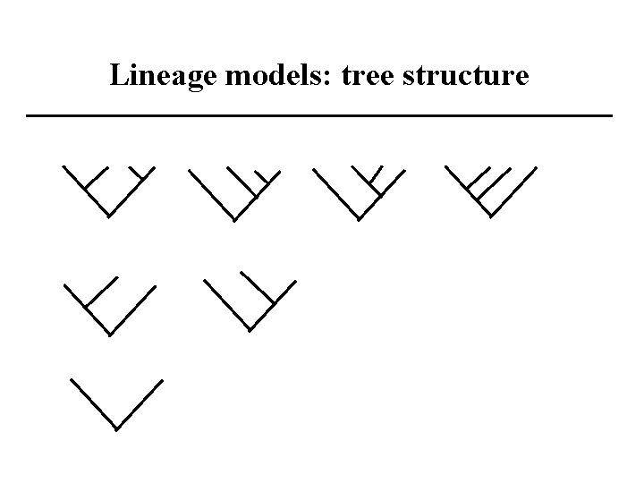 Lineage models: tree structure 
