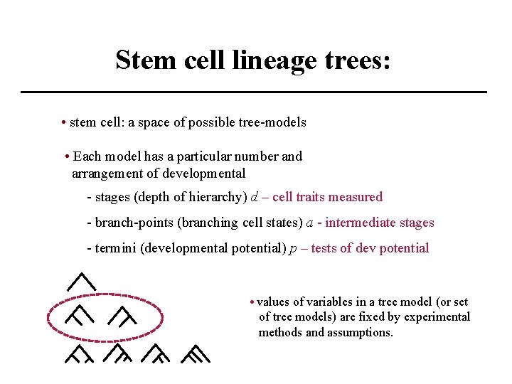 Stem cell lineage trees: • stem cell: a space of possible tree-models • Each