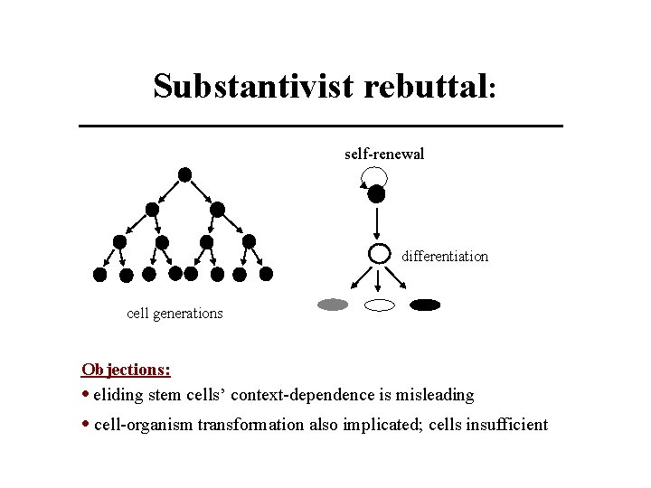 Substantivist rebuttal: self-renewal differentiation cell generations Objections: • eliding stem cells’ context-dependence is misleading