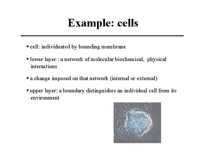 Example: cells • cell: individuated by bounding membrane • lower layer : a network