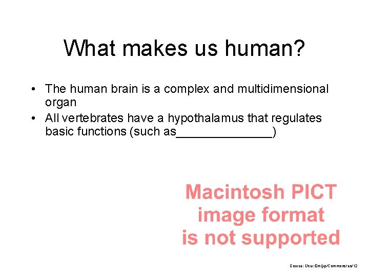 What makes us human? • The human brain is a complex and multidimensional organ