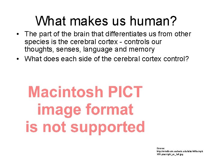 What makes us human? • The part of the brain that differentiates us from