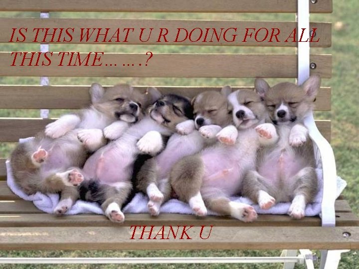 IS THIS WHAT U R DOING FOR ALL THIS TIME……. ? THANK U 