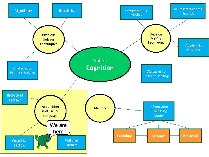 Algorithms Representativeness Heuristic Compensatory Models Heuristics Decision Making Techniques Problem Solving Techniques Availability Heuristic