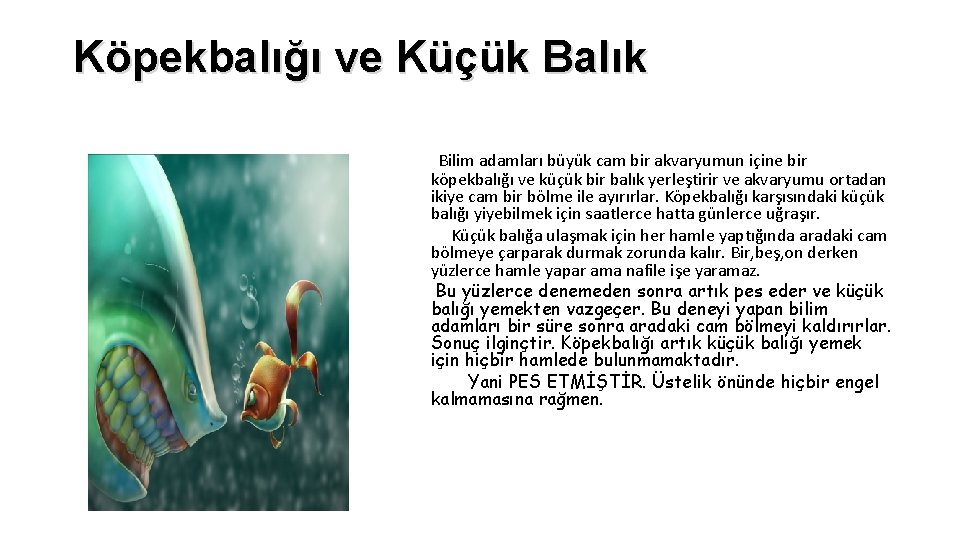 Köpekbalığı ve Küçük Balık Bilim adamları büyük cam bir akvaryumun içine bir köpekbalığı ve