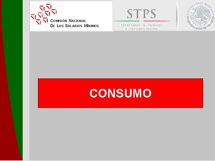 COMISIÓN NACIONAL DE LOS SALARIOS MÍNIMOS CONSUMO 