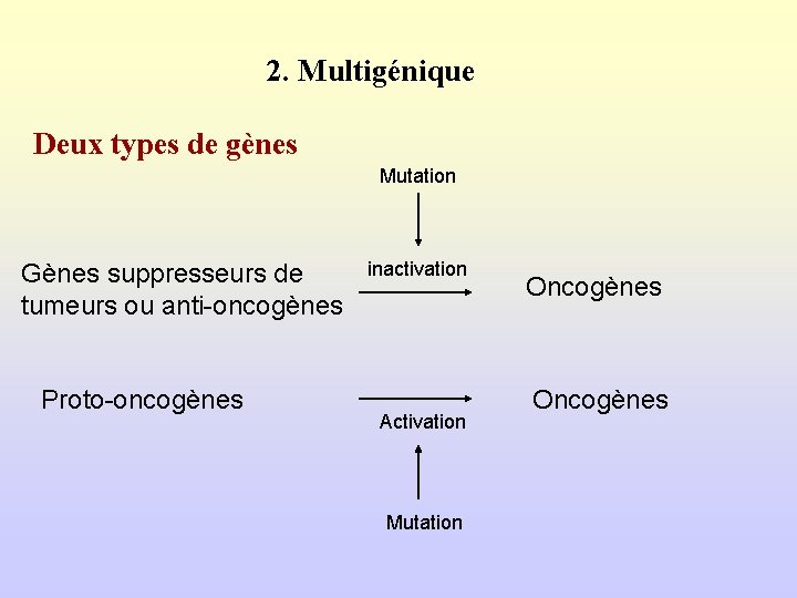 2. Multigénique Deux types de gènes Mutation Gènes suppresseurs de tumeurs ou anti-oncogènes Proto-oncogènes