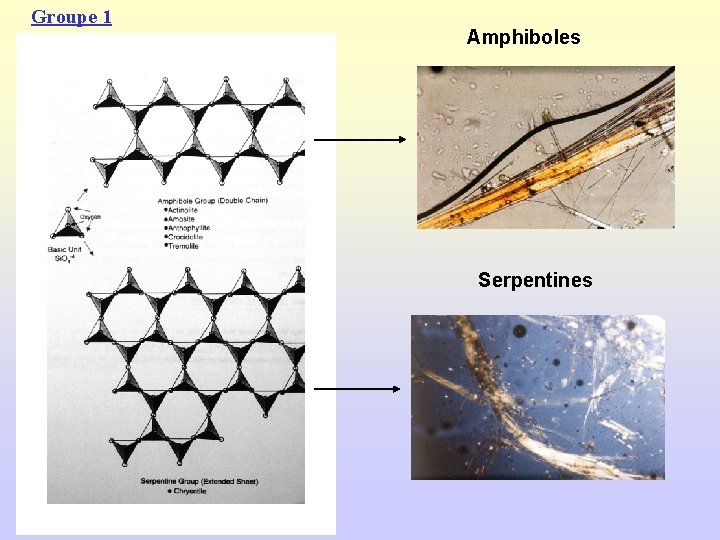 Groupe 1 Amphiboles Serpentines 