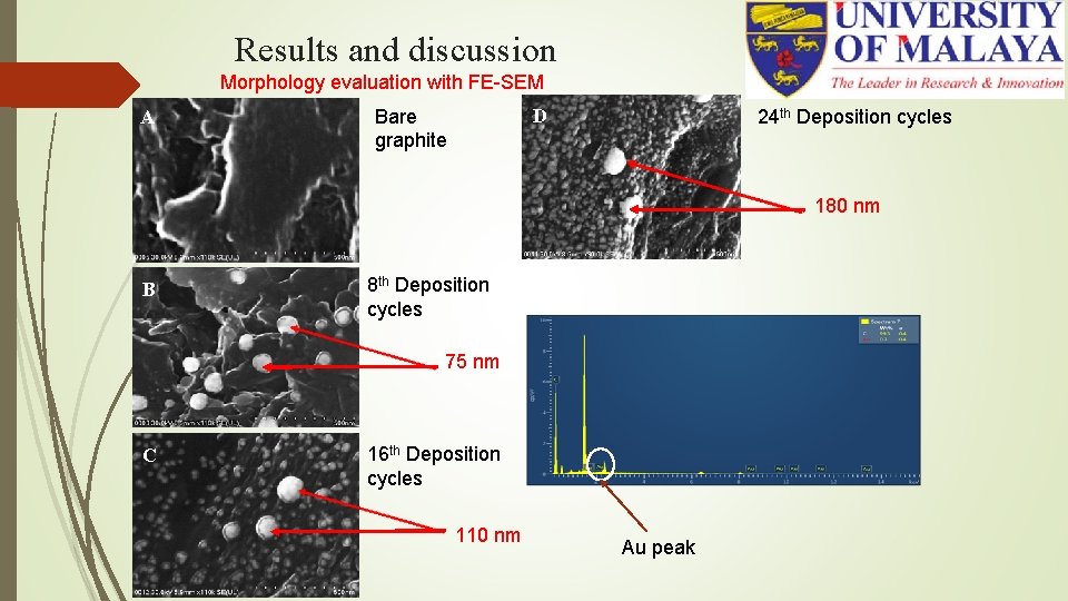 Results and discussion Morphology evaluation with FE-SEM A D Bare graphite 24 th Deposition Results and discussion Morphology evaluation with FE-SEM A D Bare graphite 24 th Deposition