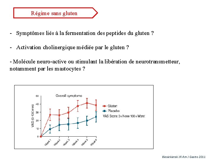 Régime sans gluten - Symptômes liés à la fermentation des peptides du gluten ? Régime sans gluten - Symptômes liés à la fermentation des peptides du gluten ?