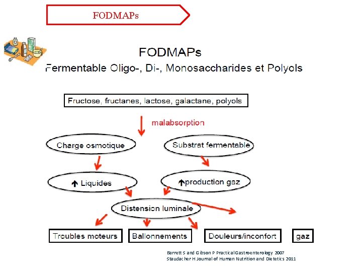 FODMAPs Barrett S and Gibson P Practical Gastroenterology 2007 Staudacher H Journal of Human