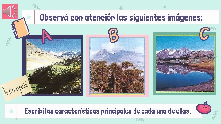 Observá con atención las siguientes imágenes: Escribí las características principales de cada una de