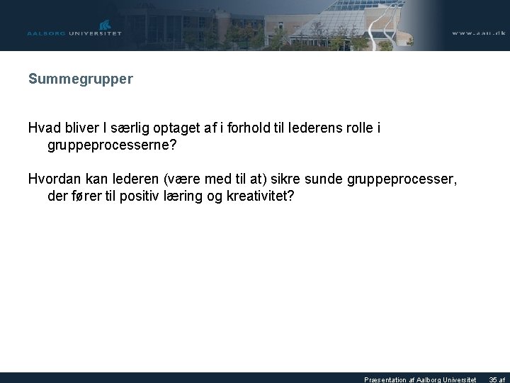 Summegrupper Hvad bliver I særlig optaget af i forhold til lederens rolle i gruppeprocesserne?