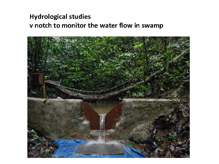 Hydrological studies v notch to monitor the water flow in swamp Hydrological studies v notch to monitor the water flow in swamp