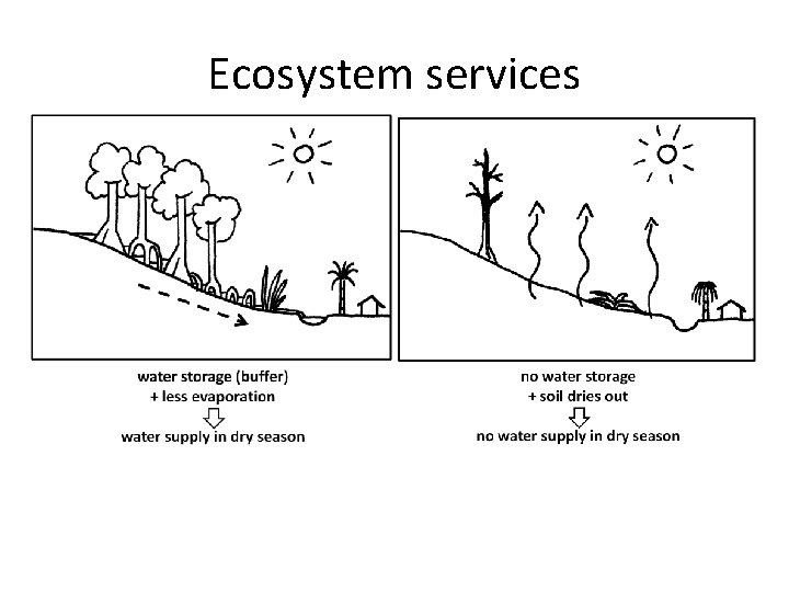 Ecosystem services Ecosystem services