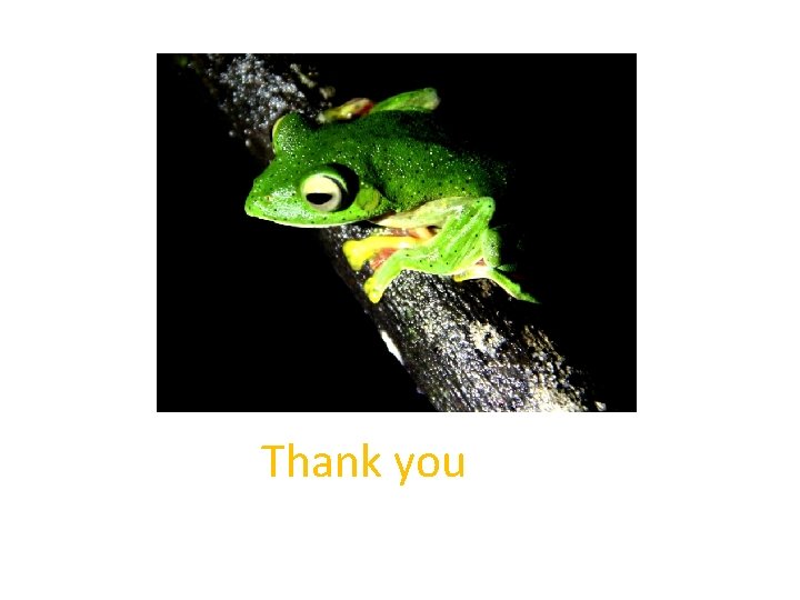 Thank you Thank you