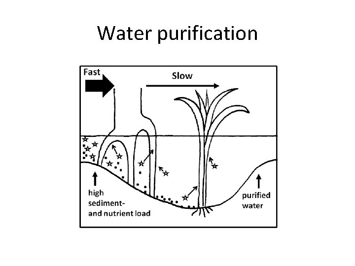 Water purification Water purification