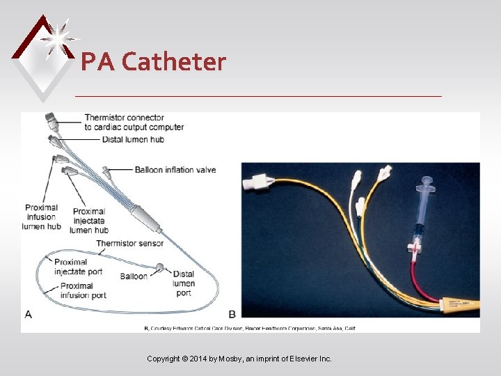 PA Catheter Copyright © 2014 by Mosby, an imprint of Elsevier Inc. 