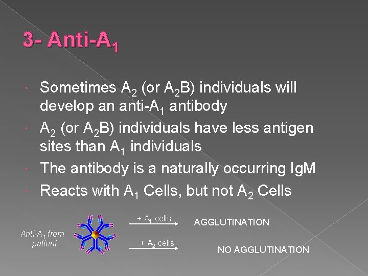 3 - Anti-A 1 Sometimes A 2 (or A 2 B) individuals will develop