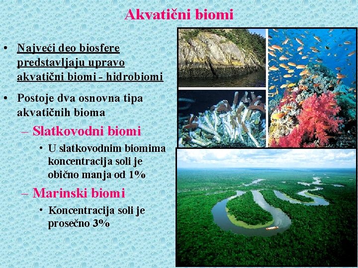 Akvatični biomi • Najveći deo biosfere predstavljaju upravo akvatični biomi - hidrobiomi • Postoje