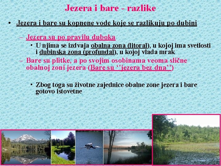 Jezera i bare - razlike • Jezera i bare su kopnene vode koje se