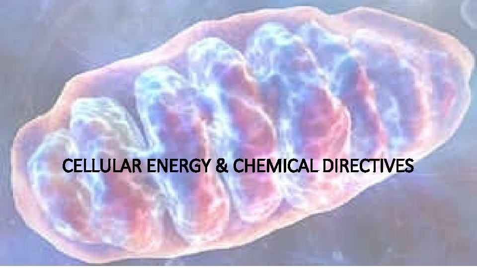 CELLULAR ENERGY & CHEMICAL DIRECTIVES 