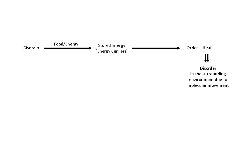 Disorder Food/Energy Stored Energy (Energy Carriers) Order + Heat Disorder in the surrounding environment