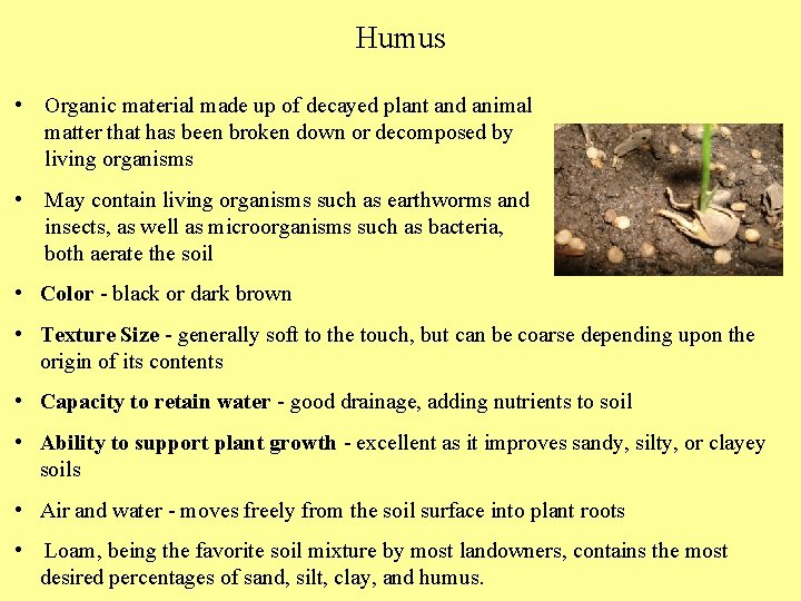 Sand Color brown tan black or white depending