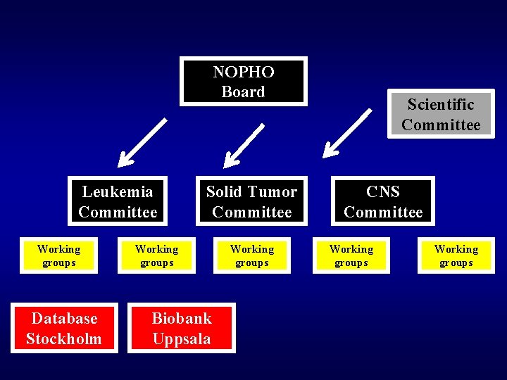 NOPHO Board Leukemia Committee Working groups Database Stockholm Solid Tumor Committee Working groups Biobank