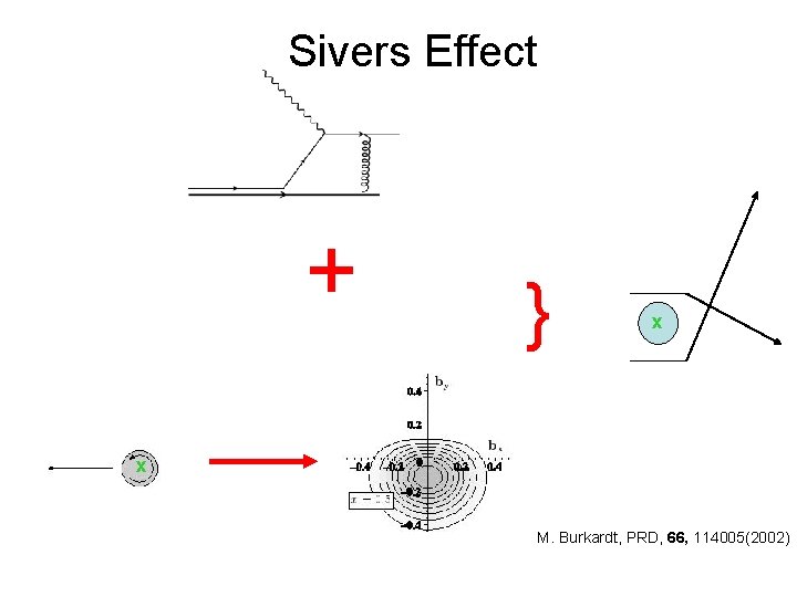 Sivers Effect + } x x M. Burkardt, PRD, 66, 114005(2002) 