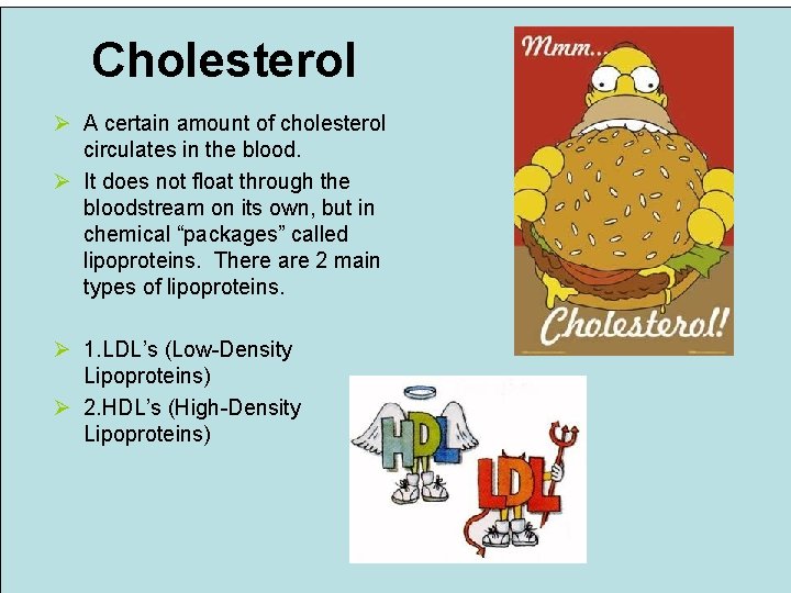 Cholesterol Ø A certain amount of cholesterol circulates in the blood. Ø It does